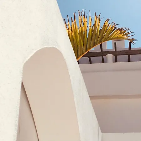 Surfers Retreat (adults Only) * Коральео